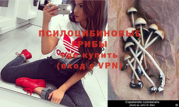 MDMA Premium VHQ Верея