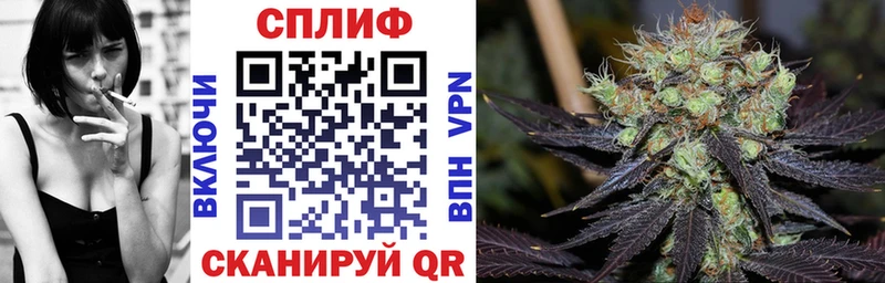 Бошки марихуана семена  Западная Двина 
